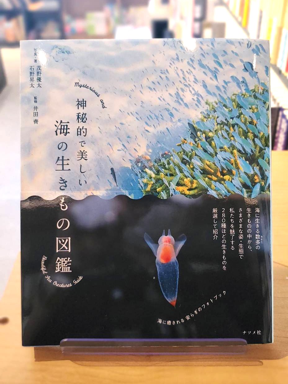 📚書籍のご紹介💡『神秘的で美しい 海の生きもの図鑑』