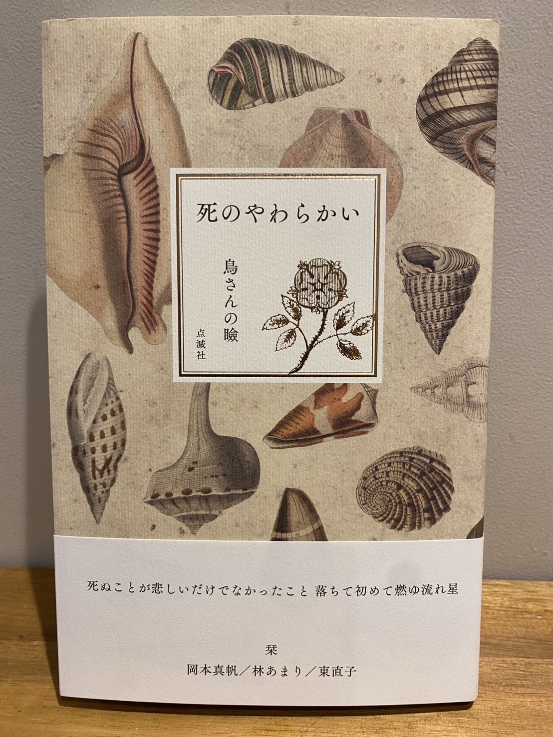 書籍のご紹介🐚