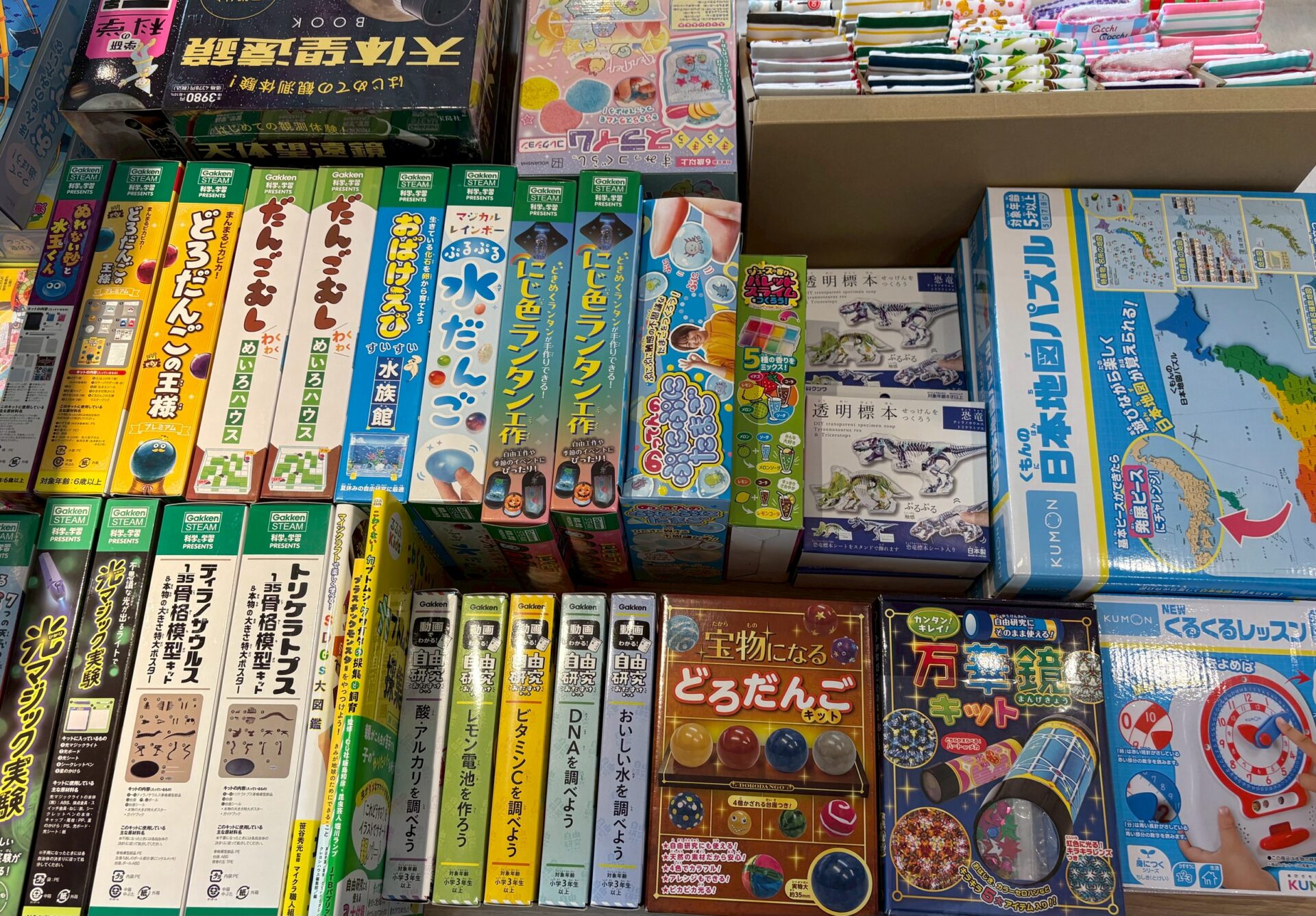 🌞夏休みの自由研究キット