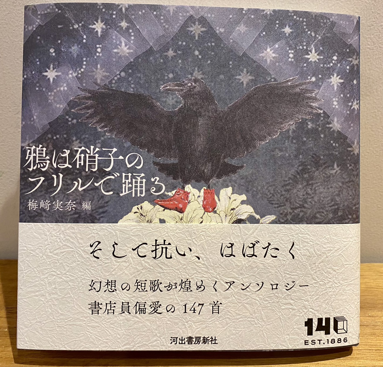 鴉は硝子のフリルで踊る（河出書房新社）