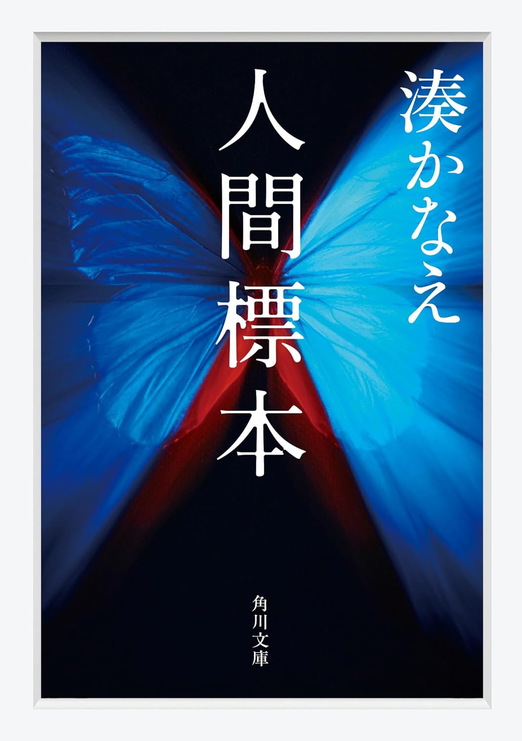 書籍のご案内🌳🌳