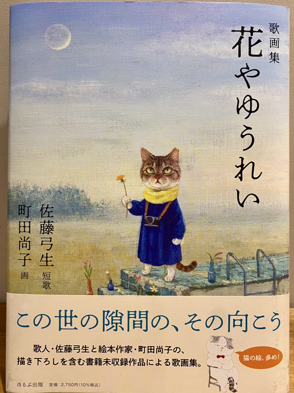 歌画集『花やゆうれい』（ほるぷ出版）