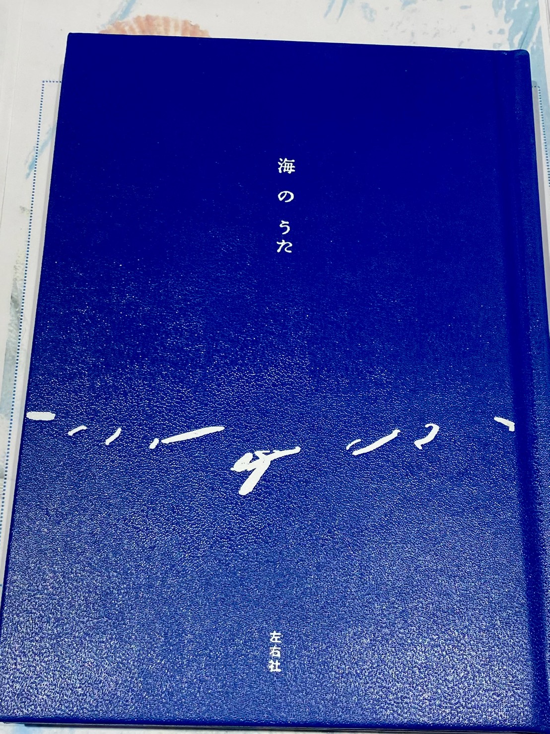 7.17『海のうた』読書会レポート📝